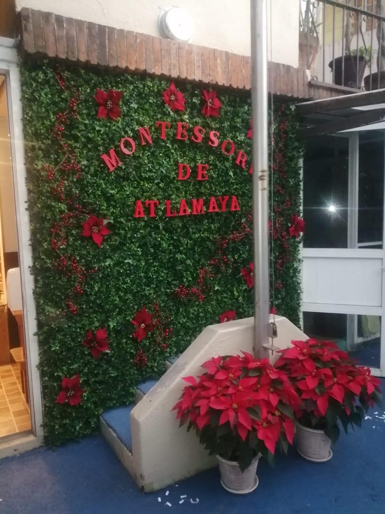 Festival Navidad